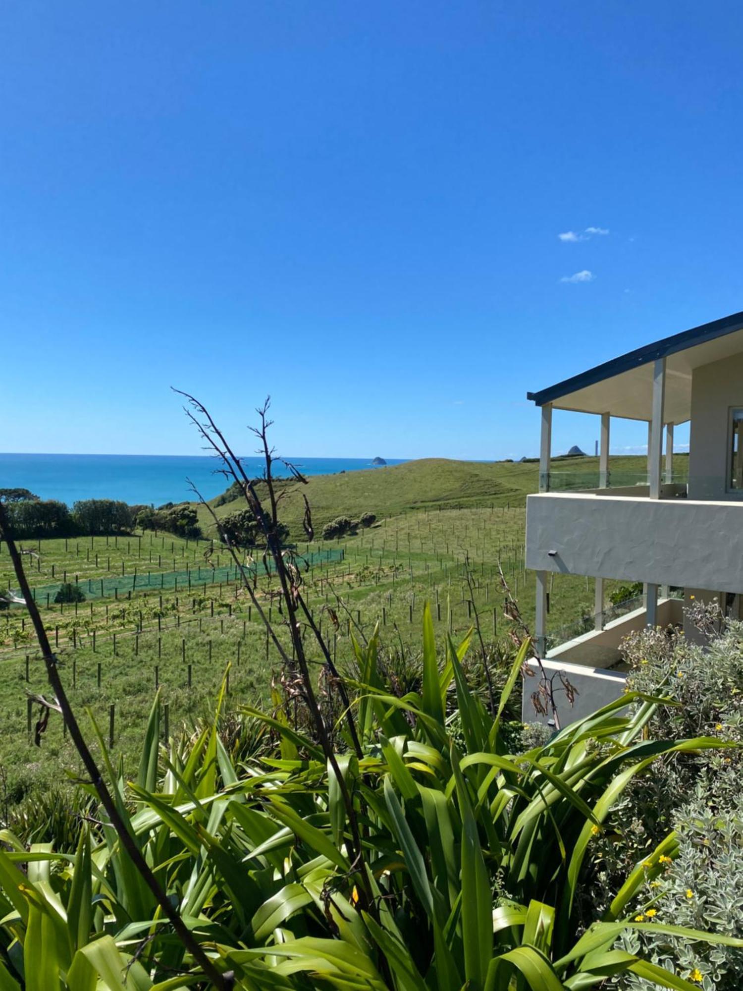 Chalets At Okurukuru New Plymouth Eksteriør bilde
