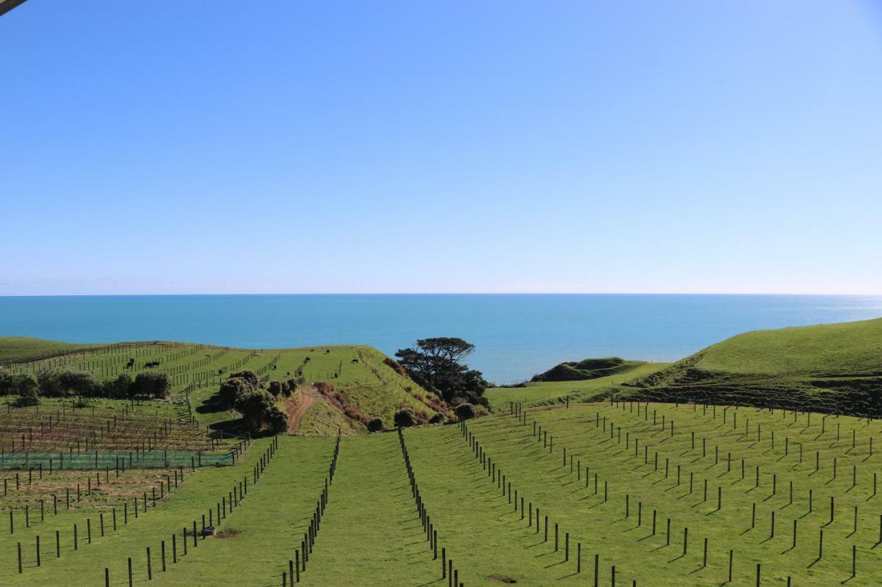 Chalets At Okurukuru New Plymouth Eksteriør bilde