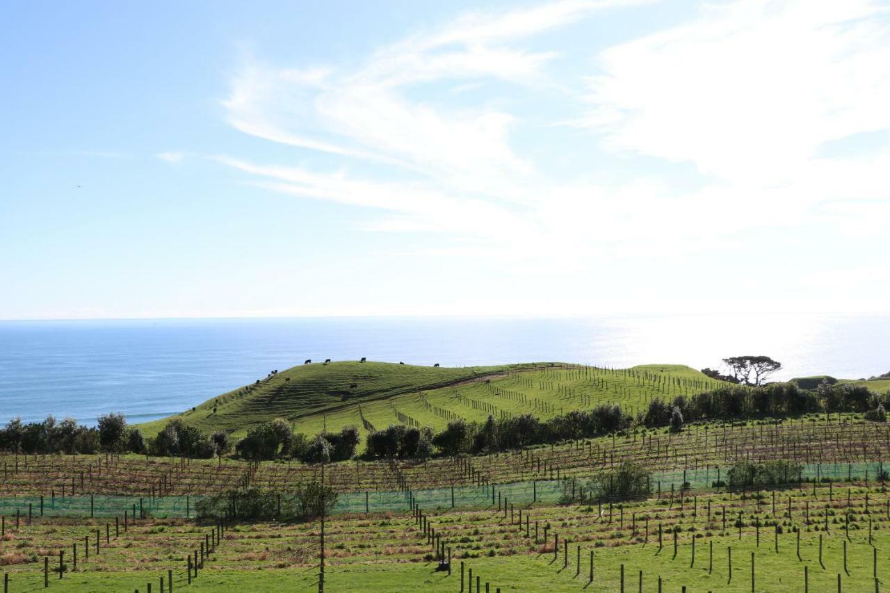 Chalets At Okurukuru New Plymouth Eksteriør bilde